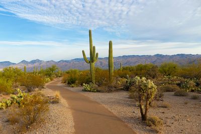 You’ll Never Get Ahead in These 5 “Affordable” States (Here’s Why They’re Lying to You)