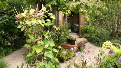 5 climate-resilient crops all gardeners will soon be growing – as I discovered when exploring the Garden of the Future at Chelsea Flower Show 2025