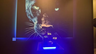 Big cat sighting: Intel shows off Panther Lake at Computex