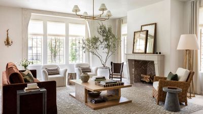 I have a designer taste on a discount budget – here are the 12 best rugs, mirrors, and lights I'm shopping in the sales to finish my home