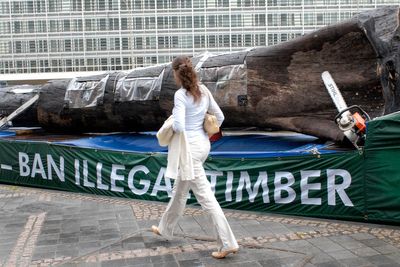 Voices: No more grandstanding: Deforestation pledges will go up in flames if we ignore inequality