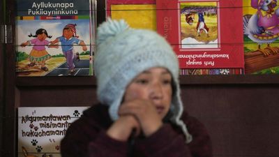 The last word: why half of the world's languages could vanish this century