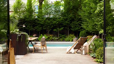 6 Trees That Landscape Designers Will Never Plant When They're Trying to Make a Garden More Private