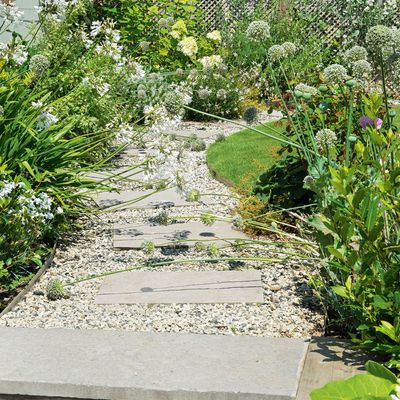 5 tips I used to make my plants grow faster and transform my garden from a bare plot of soil to brimming with blooms