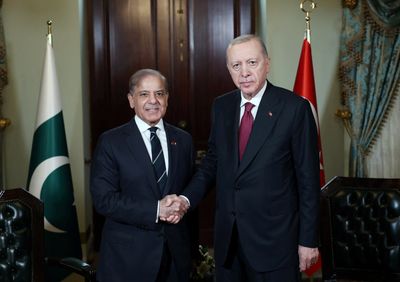 Turkiye’s Erdogan meets Pakistan PM in Istanbul weeks after India conflict