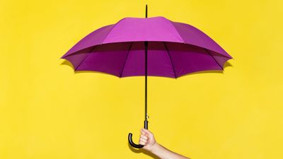 Weatherproof Your Retirement: Strengthening Risk Capacity for Lasting Security