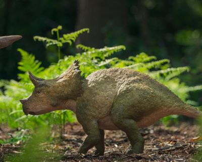 Walking with Dinosaurs review – a cheap, tired revival whose cliches are as old as fossils