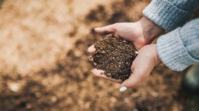 I'm a first-time composter and this beginner-friendly compost tumbler is the essential I've been looking for – it's currently 57% off at Wayfair, too