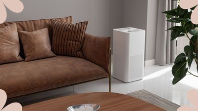 Can an air purifier help with dust? Appliance specialists reveal all