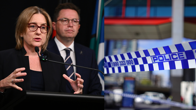 Victoria Fast-Tracks Machete Sales Ban Following Shopping Centre Brawl In Melbourne