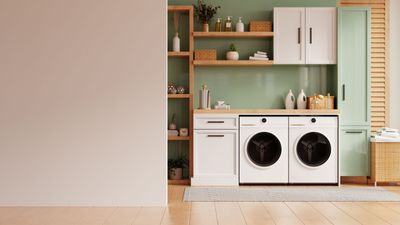 What is a steam cycle on a washer, and is it worth the extra spend?