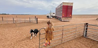 The drought is back – we need a new way to help farmers survive tough times