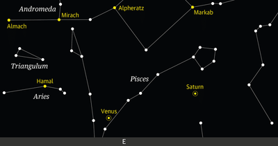 Starwatch: Venus will be unmistakably brilliant in the predawn sky this week