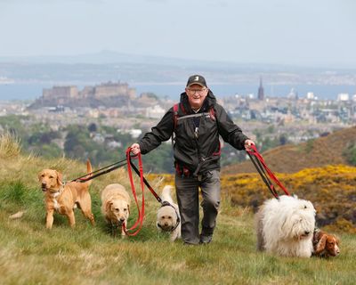A new start after 60: I became a dog-walker – and I’ve never been happier