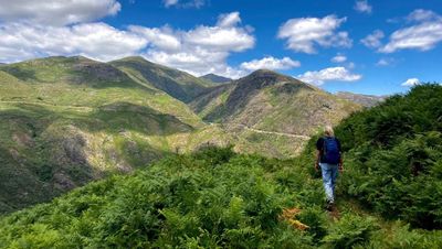 In the company of wolves … and Romans: hiking Portugal’s only national park