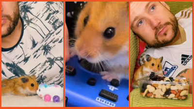 ‘I was broken’: Miracle hamster saves man’s soul, helps with job, finds him new wife, dies