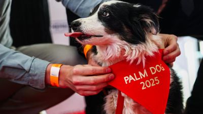 Postcard from Cannes #7 : Rolling up the red carpet after two weeks of movie magic