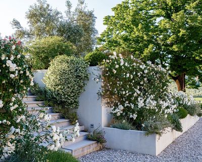 An 'olla' is the centuries-old trick that helped my plants survive the summer heatwave – it was the savior I didn't know my garden needed