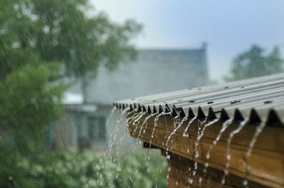 Can You Be Fined for Collecting Rainwater? It Depends on Where You Live