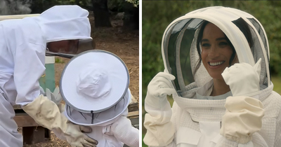 Meghan Markle Stuns Fans With Beekeeping Clip That Actually Shows 3-Year-Old Lilibet’s Face
