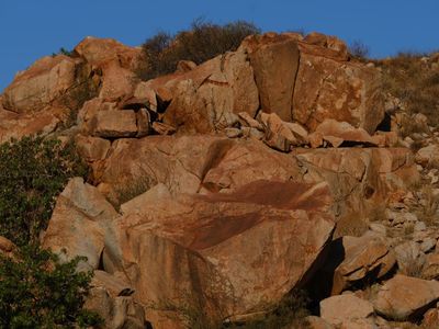 ‘The spin has been wrong’: rock art expert raises concerns over critical report ahead of Woodside decision