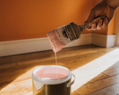Don’t go up the wall: how to pick paint colours for your home
