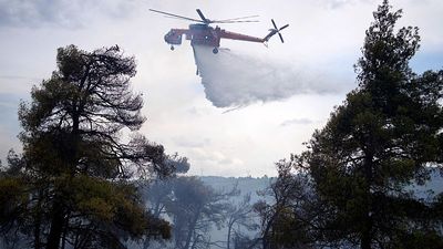 EU to deploy 650 firefighters to wildfire high-risk zones