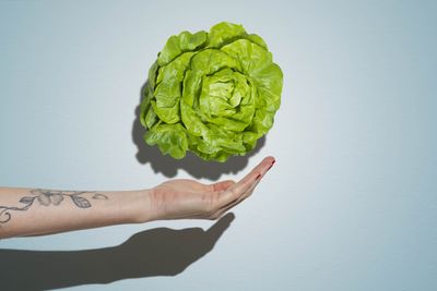 What does lettuce actually taste like?