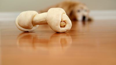 Are rawhide bones good for dogs? Vet reveals the pros, cons, and 4 safer alternatives