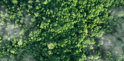As Australia’s carbon offset industry grapples with integrity concerns, how can companies genuinely tackle climate change?