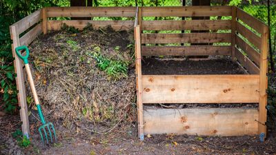 Why is my compost heap not heating up? Composting experts share 5 causes and how to quickly fix this common issue