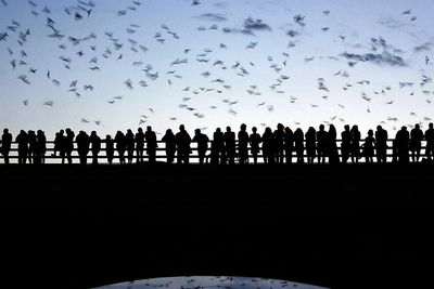 What goes ‘bump’ in the night is actually helping to ensure humanity’s survival