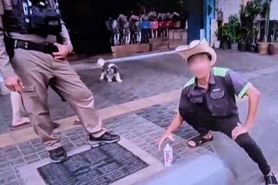 Man paints over no-parking kerb to ‘help’ food stall