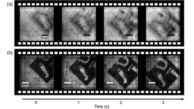 Breakthrough 1-pixel camera records holographic video – built at microscopic scale