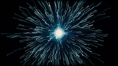 Particle physics: Facts about the elementary particles that make up our universe