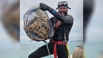 Torres fund ignites crayfisherman's export dreams