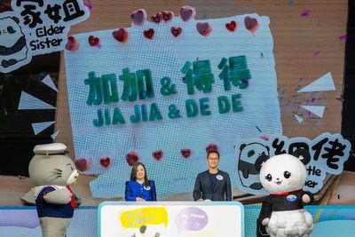Hong Kong's baby pandas finally get names. Meet Jia Jia and De De