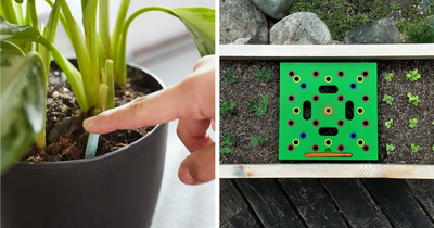 Conquer Your Most Annoying Garden Dramas With These 23 Cleverly Crafted Buys