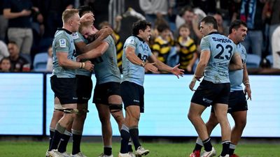 Dream weavers: Waratahs off to Auckland with belief