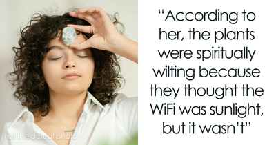 “Entitled Neighbor Demands I Stop Using My Own WiFi Because It’s Distracting Her Plants”