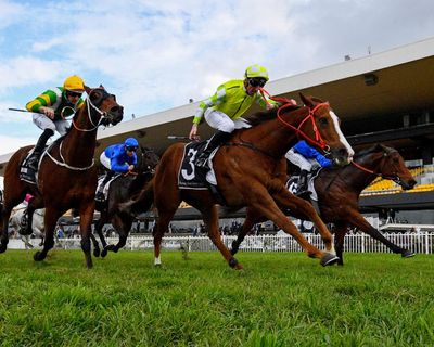 Blow to Minns as turf club votes down plan to sell Sydney racecourse to NSW to build 25,000 homes