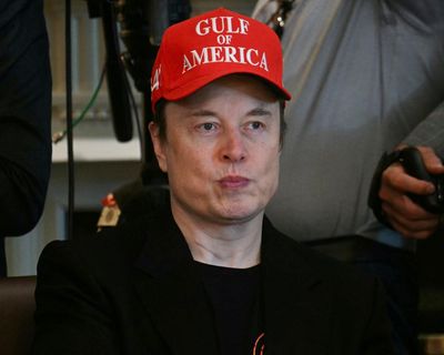 Anti-Musk sentiment runs high in Adelaide as 95% of submissions oppose land sale to Tesla