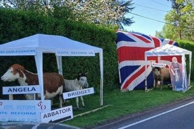 ‘Misogynistic’ Reform activists depict female cabinet ministers as cows in abattoir