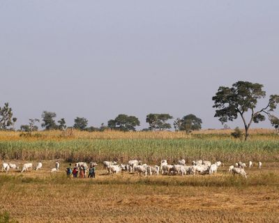 Forty-two people killed in central Nigeria in attacks blamed on herders