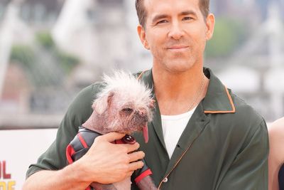 Ryan Reynolds promises to ‘get down in the mud’ in new nature documentary