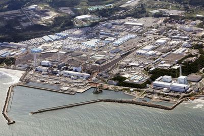 Japan to use slightly radioactive soil from Fukushima on flowerbeds at prime minister's office