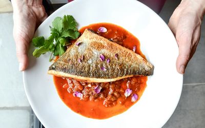 Best frozen fish dishes: Top picks for quick meals
