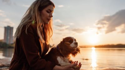 Canine wellness routines are on the rise – this one practice really surprised us!