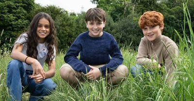 New Cast For Harry, Hermione And Ron For Upcoming Harry Potter Series Divides The Internet