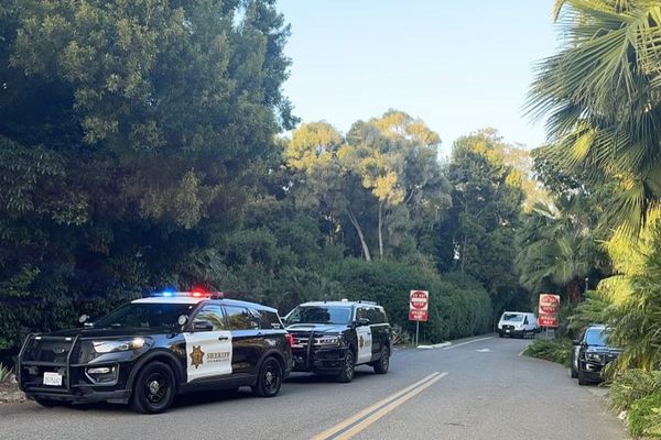 Woman left in a coma after violent break-in at Beanie Babies billionaire’s California home